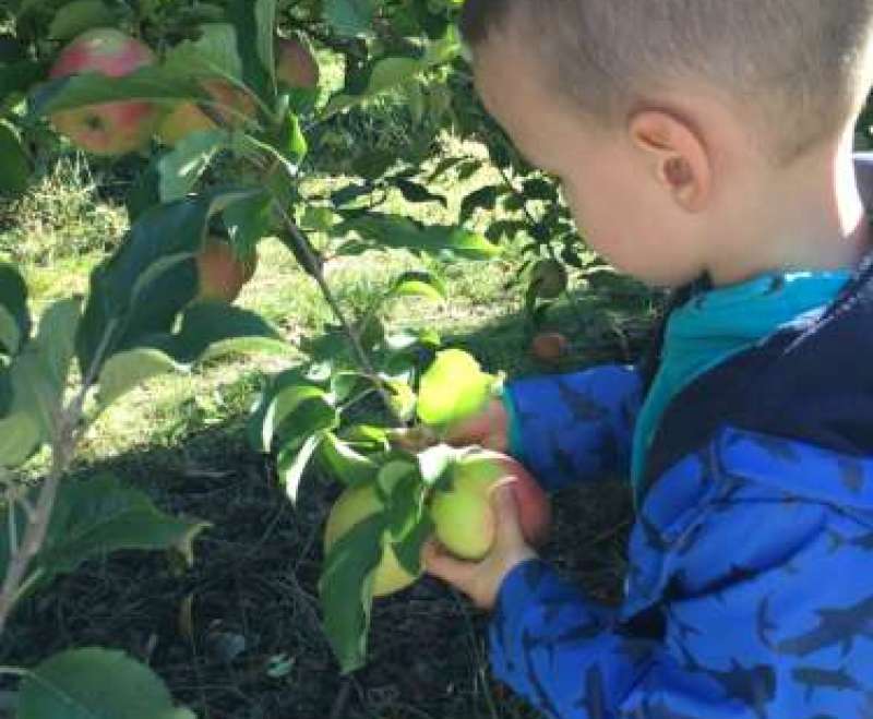 Posjet voćnjaku povodom Dana jabuka