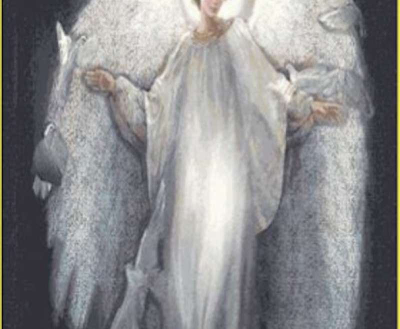 Anđelima svojim zapovijedi Bog da te čuvaju na svim putovima tvojim