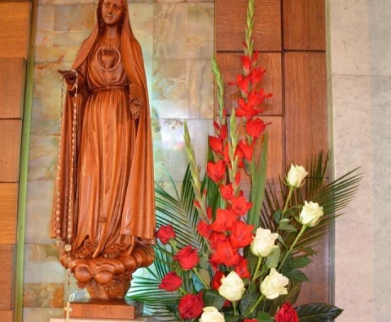 Dan Provincije Presvetog Srca Isusova i Marijina