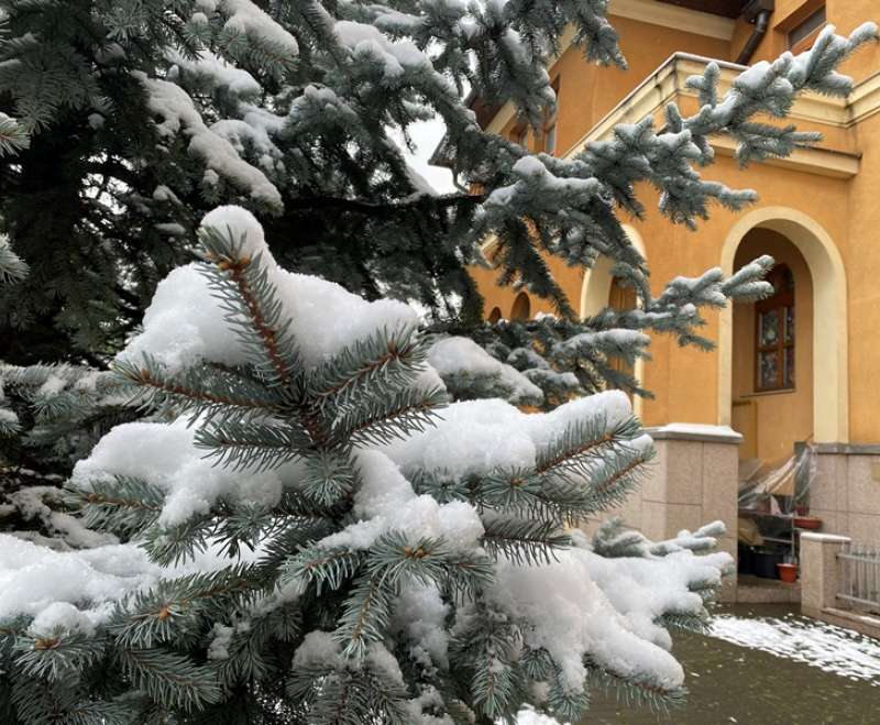 Susret sestara juniorki SMI u Sarajevu