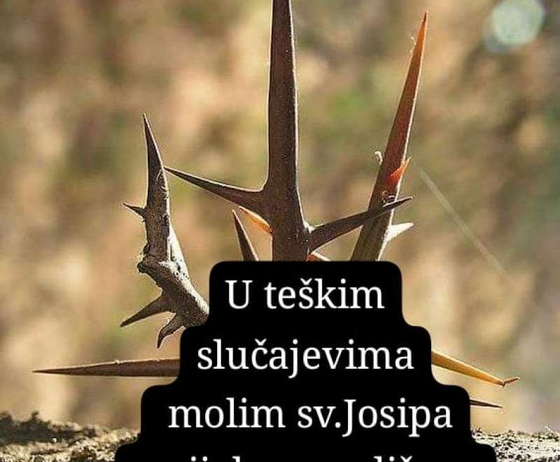 Ususret svetkovini sv. Josipa