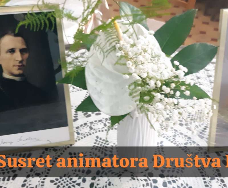 Susret animatora Društva PMI
