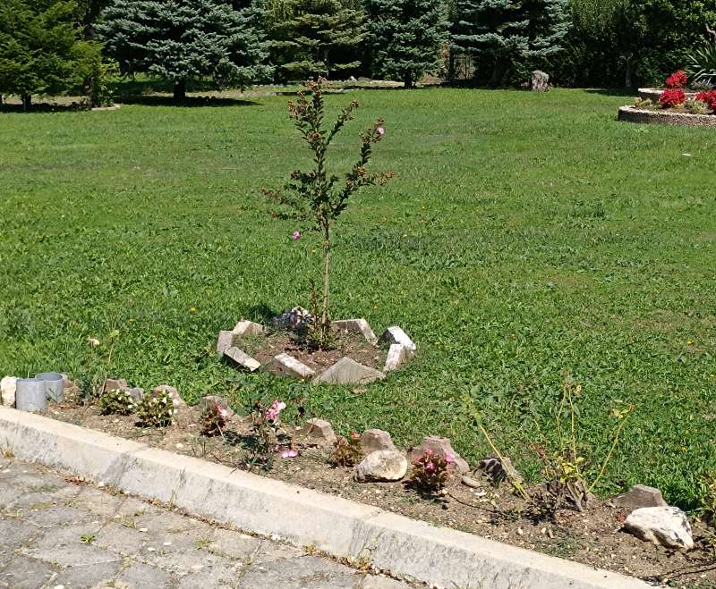 Isus Krist Sin Božji - Duhovne vježbe u Livnu