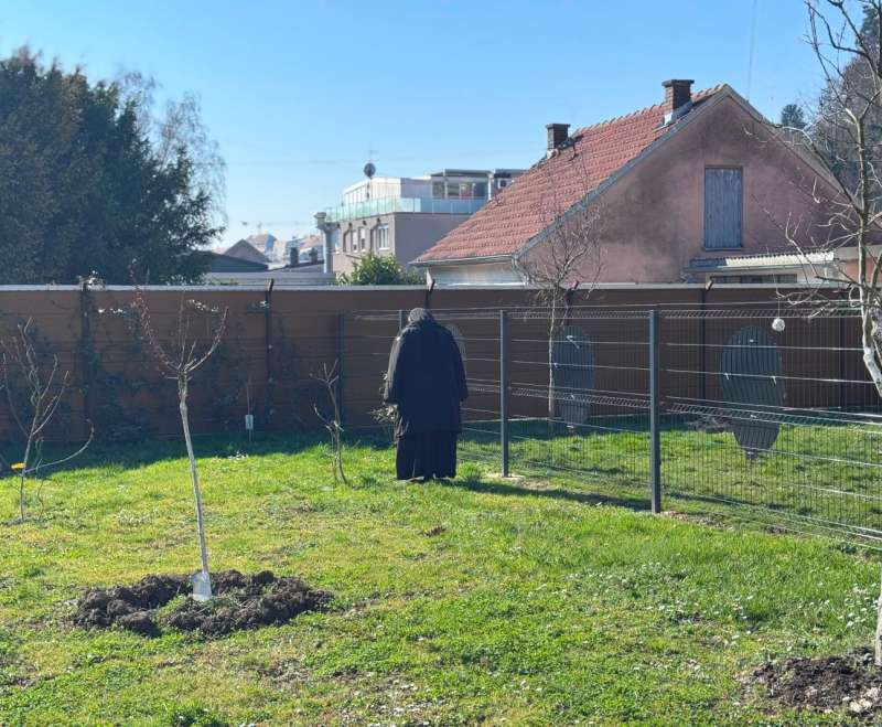 „U Tvome svjetlu svjetlost vidimo“ (Ps 36, 9)