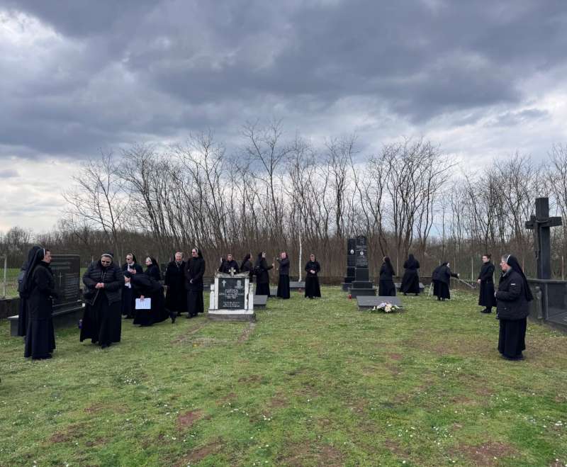 Na zov patnje, odgovorila je ljubav