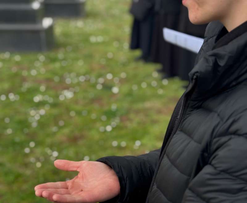 Na zov patnje, odgovorila je ljubav