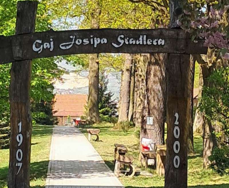 Dan otvorenih vrata doma i samostana „Sveti Josip“ u Vitezu